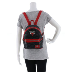 Loungefly NBA Chicago Bulls Logo Mini Backpack