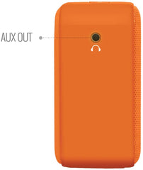 Saregama Carvaan Mini Bluetooth Speaker (Bhagvad Gita, Orange)