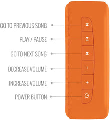 Saregama Carvaan Mini Bluetooth Speaker (Bhagvad Gita, Orange)