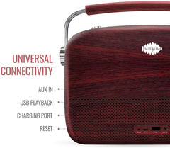 SAREGAMA Carvaan SC01 Portable Digital Music Player - Hindi (with App WiFi, Cherrywood)