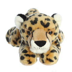 Aurora Flopsie 12" Cheetah Adorable Stuffed Animal