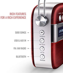 SAREGAMA Carvaan SC01 Portable Digital Music Player - Hindi (with App WiFi, Cherrywood)
