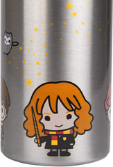 Harry Potter Stainless Steel Water Bottle - Steel with With Harry, Ron and Hermione Chibi Character Design - 550ml